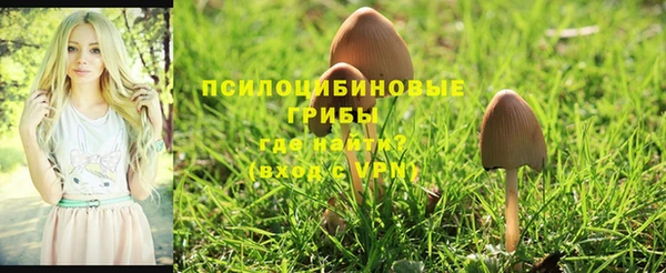 spice Алексеевка