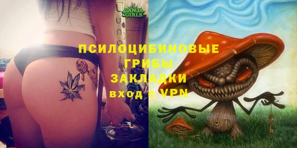 мяу мяу мука Алзамай