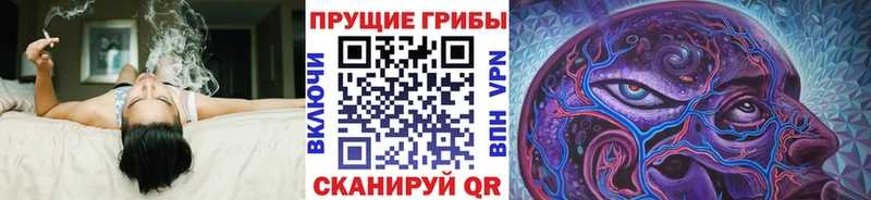 Псилоцибиновые грибы ЛСД  Канаш 
