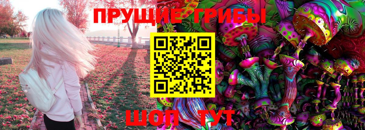 Псилоцибиновые грибы Psilocybine cubensis Канаш