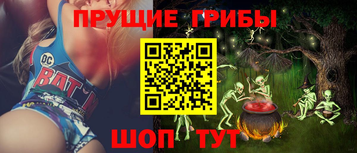 где можно купить наркотик  Вход с VPN  Канаш  Псилоцибиновые грибы ЛСД  Галлюциногенные грибы Cubensis 